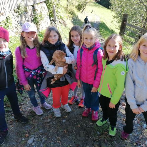 Wandertag 3. Klassen