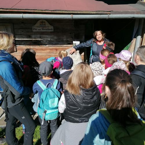 Wandertag 3. Klassen