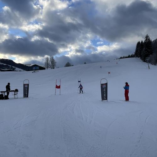 Skitage