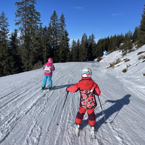 Skitage