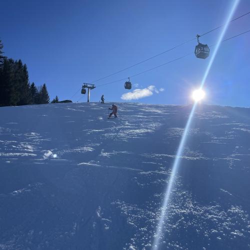 Skitage
