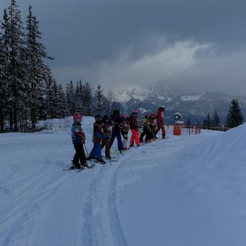 Skitage