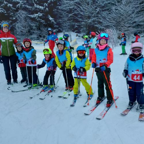 Skitage
