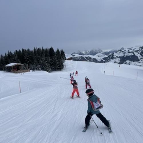 Skitage