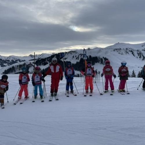 Skitage