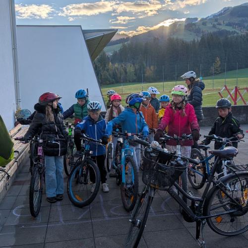 Radworkshop
