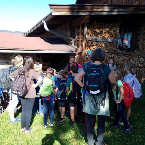Wandern