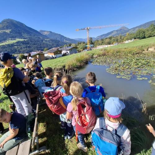 Wandern