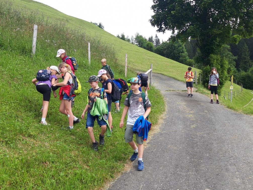 Unser "letzter Wandertag"