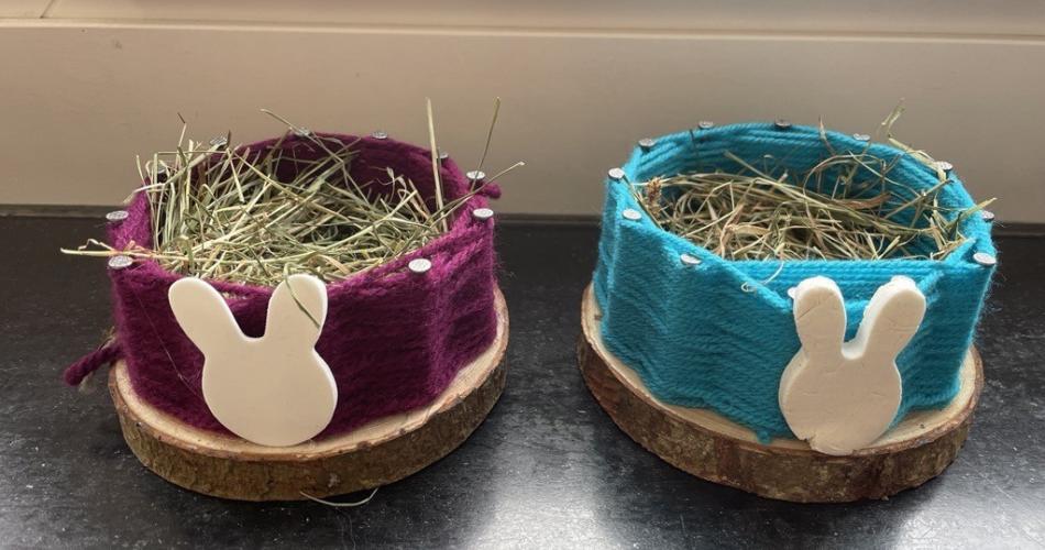 Besuch vom Osterhasen